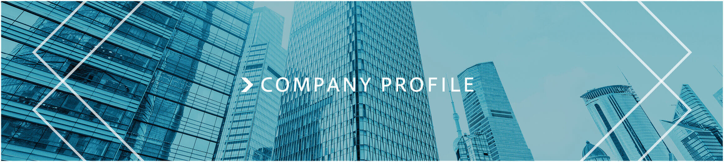 COMPANY PROFILE